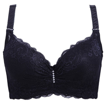 2024 Sexy lace bra CUP SIZE CDE