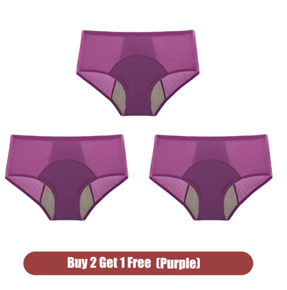 🌸Buy 1 Get 2 Free🔥2025 High Waist Leakproof Panties